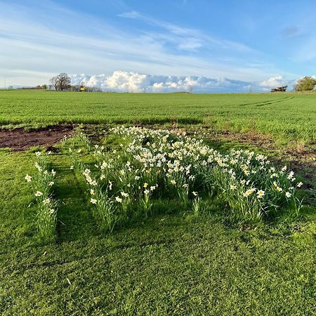 Stora Loenn Villa Falkenberg Luaran gambar