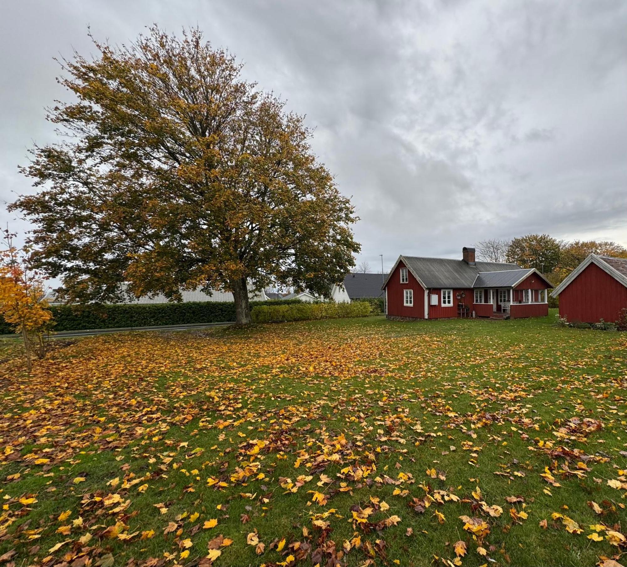 Stora Loenn Villa Falkenberg Luaran gambar